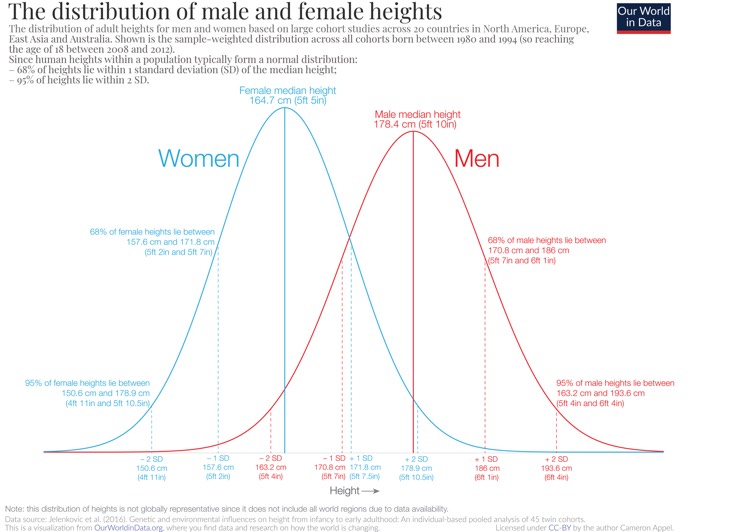 Répartition de la taille Hommes Femmes