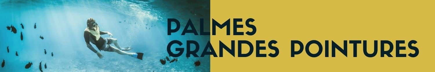 palmes grandes pointures