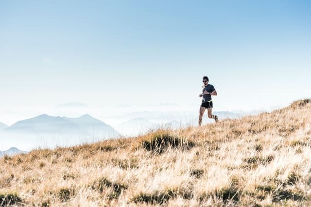 chaussures de trail running grandes tailles