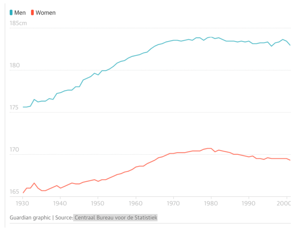 comparaison taille hollandais