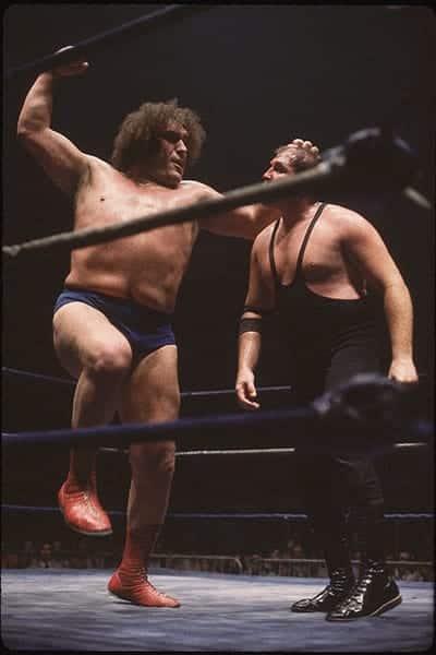 andre the giant fight