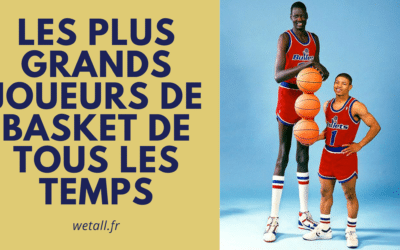 Qui sont les plus grands basketteurs de tous les temps ? En taille.