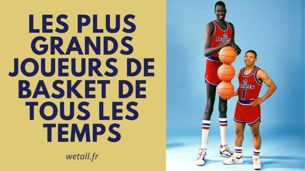 Qui sont les plus grands basketteurs de tous les temps ? En taille. Wetall
