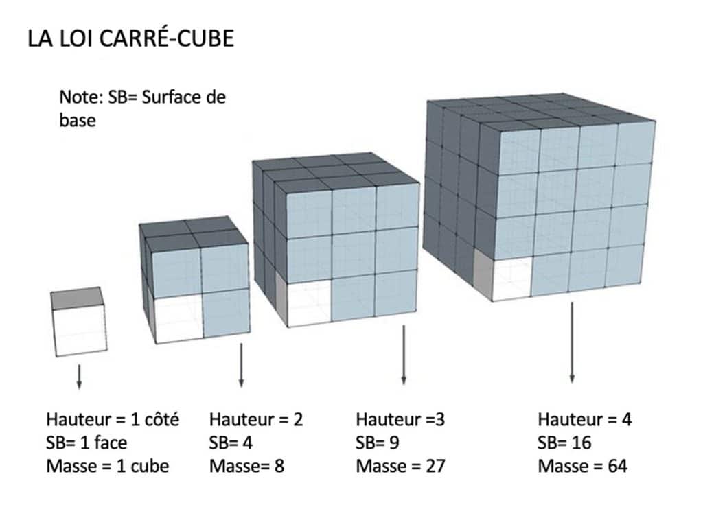Loi carré Cube -wetall
