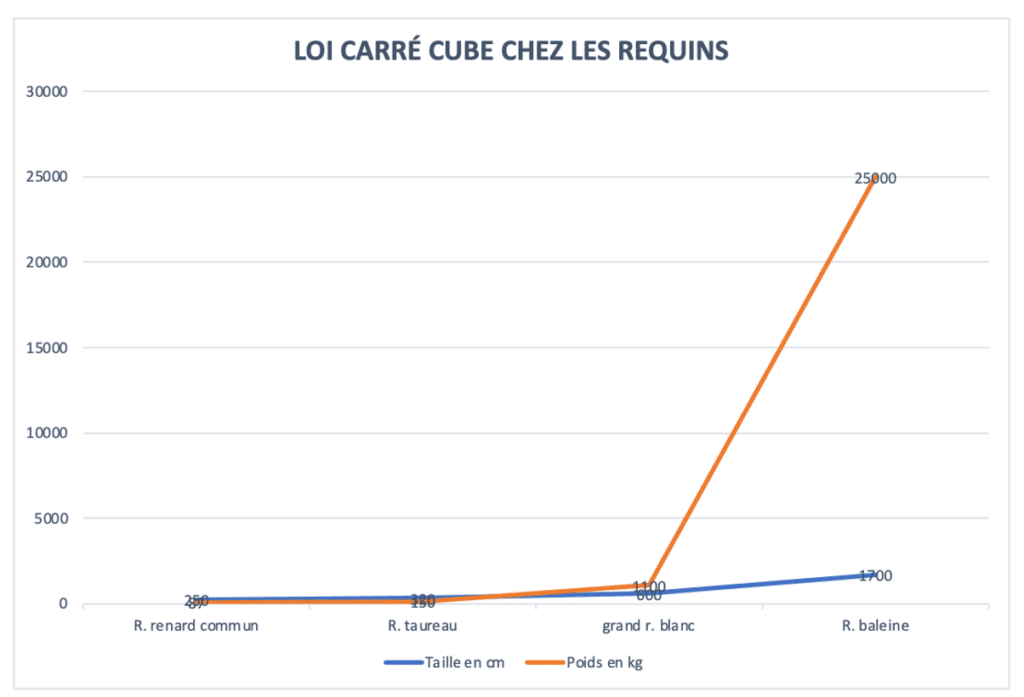 graphique loi carré cube requin