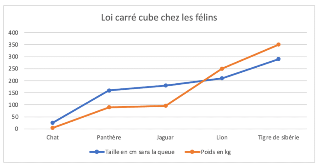 loi carré cube chez les félins