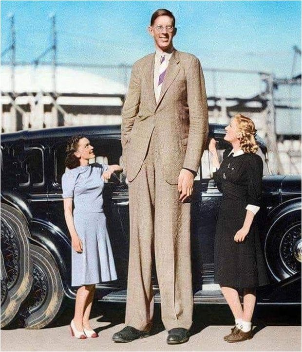 robert wadlow-wetall