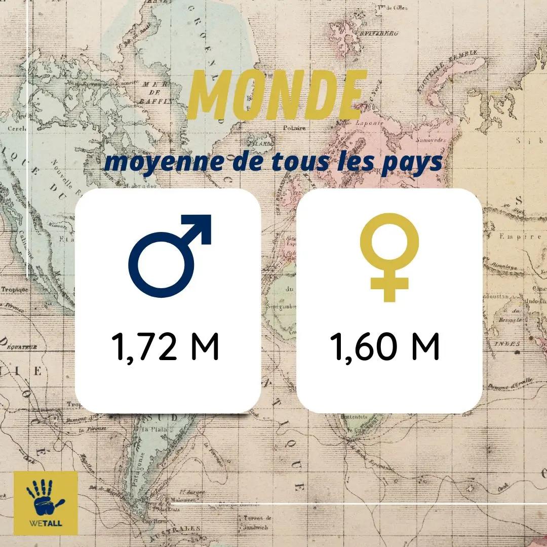 taille moyenne des hommes et des femmes dans le monde