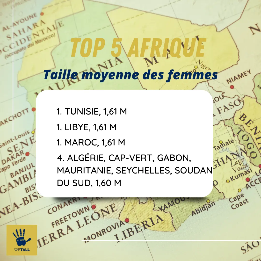 taille moyenne femme