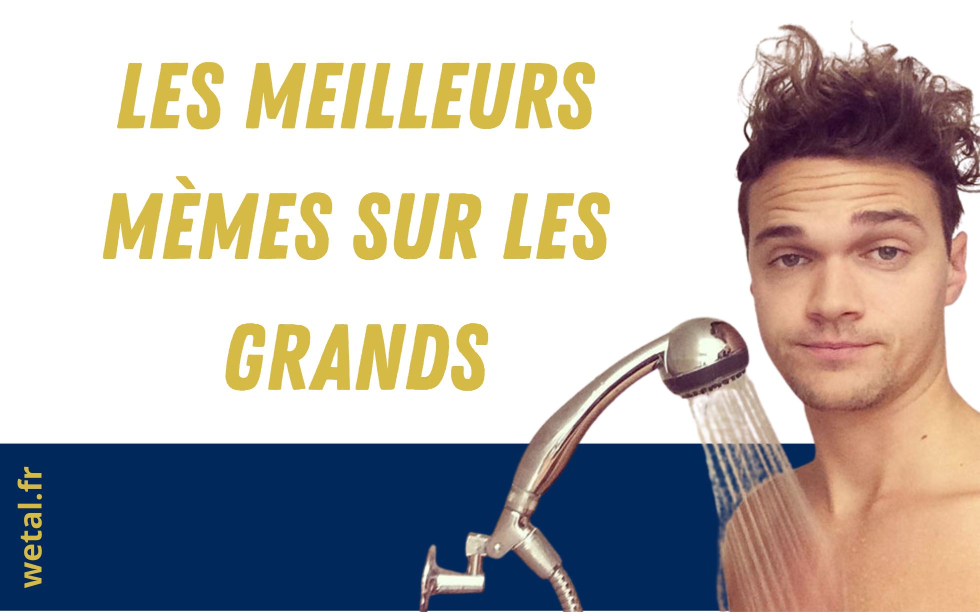 Les meilleurs mèmes sur les grands